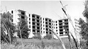 Bayview Ghost -- click on thumbnail to see larger image