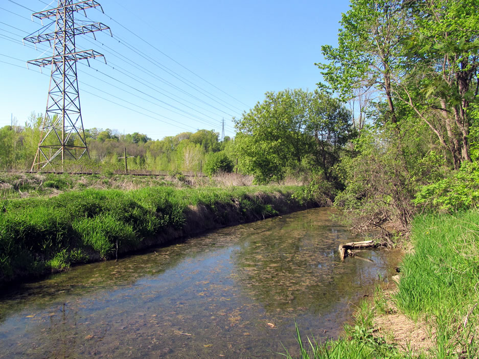 Mill race Mill race