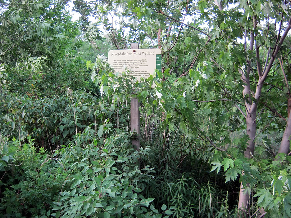The Riverdale Park East Wetlands The Riverdale Park East Wetlands